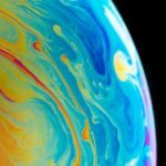 Nifina features 1024x478.jpg